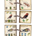 Prestashop Image 3744