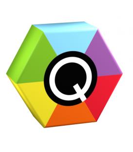 [765066754976] Q MEMORY